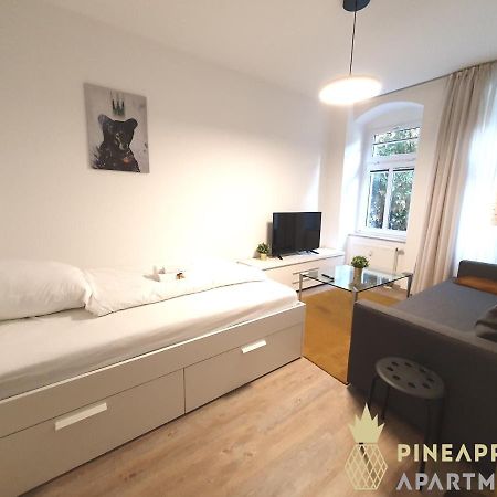 Ruhiges Hinterhof Apartment Im Herzen Der Neustadt Dresden Luaran gambar